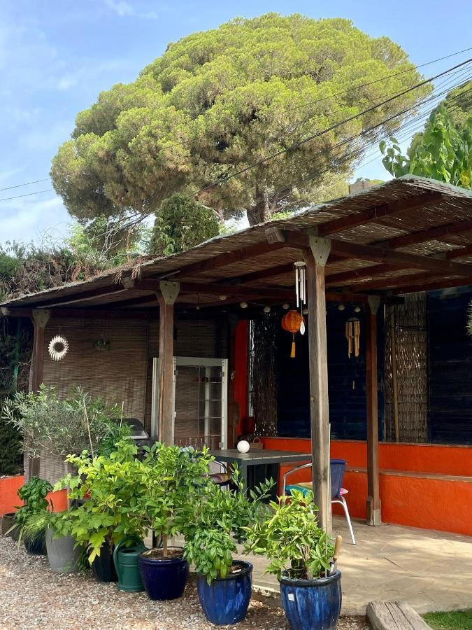 Vilassar De Dalt Palm Maresme - Suite With Bathroom And Terrasse With Ocean Views In A Private Villa מראה חיצוני תמונה