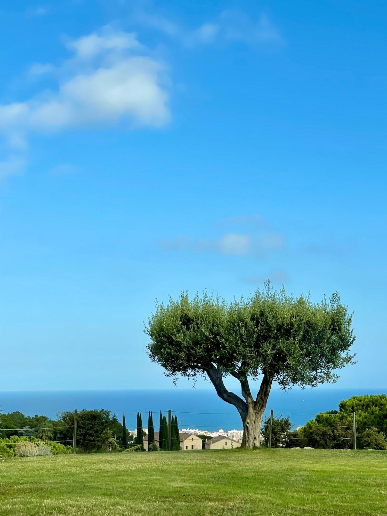 Vilassar De Dalt Palm Maresme - Suite With Bathroom And Terrasse With Ocean Views In A Private Villa מראה חיצוני תמונה